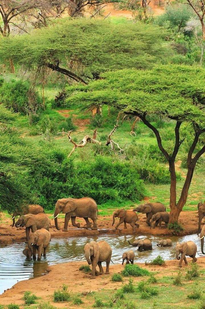 Ultimate Zimbabwe Experience